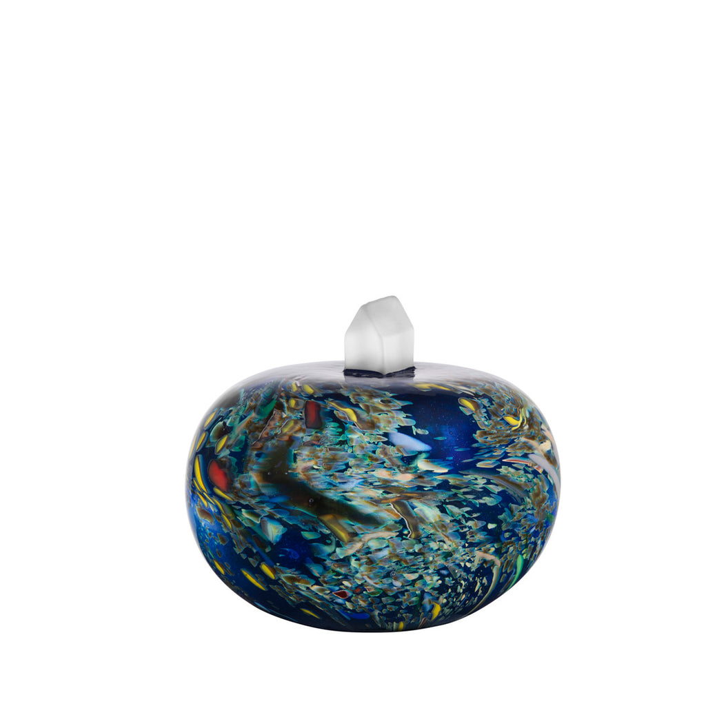 Earth My Universe