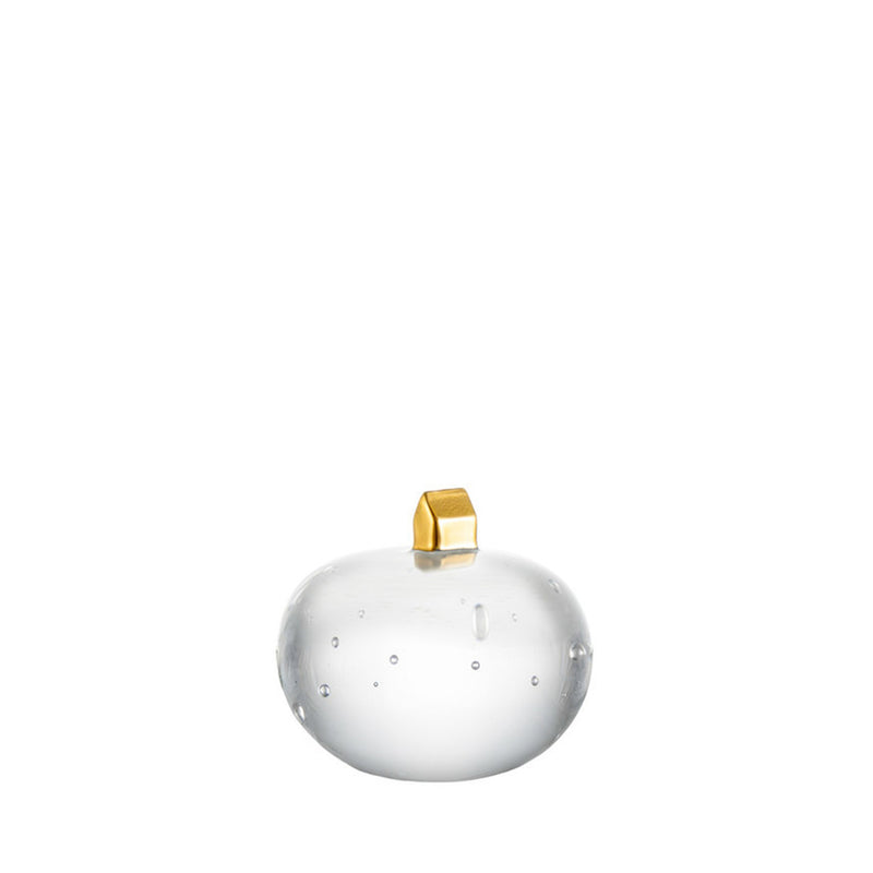 Earth On Top Mini