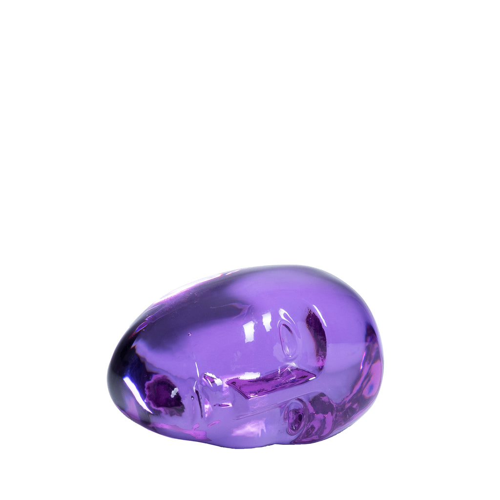 Brains - I Dreamed of a Blue Horse - Purple