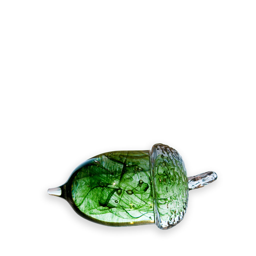 Acorn Medium