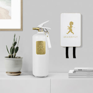 Fire extinguisher 2kg White / Gold