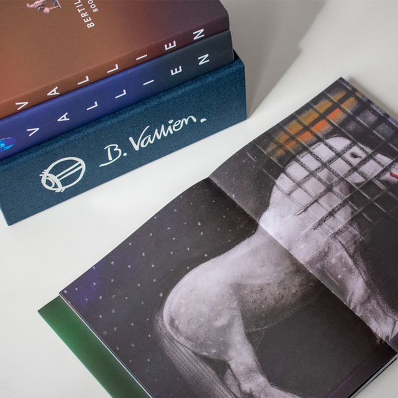 Bertil Vallien Das Buch - Gesammelte Werke