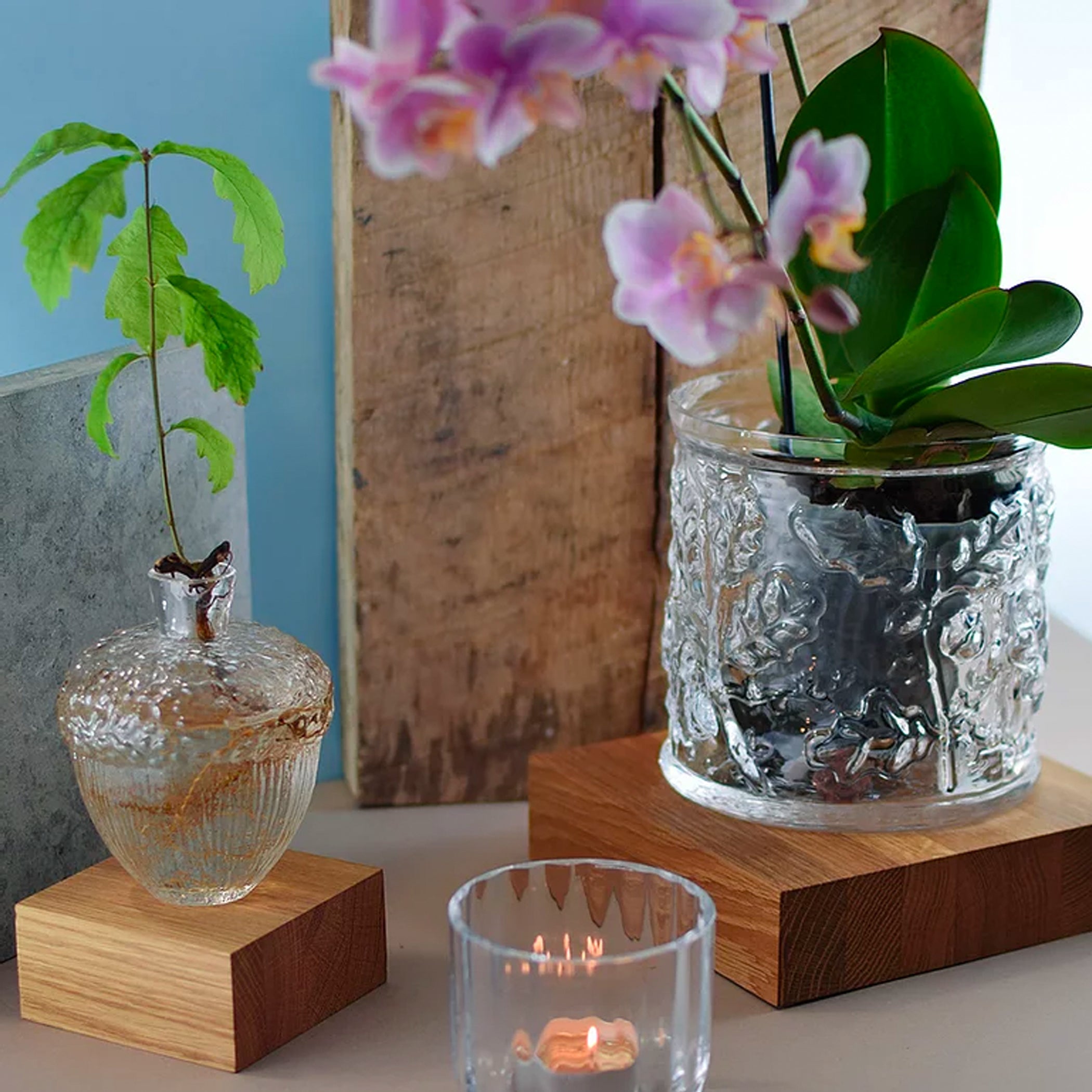 Robur Vase Bereit