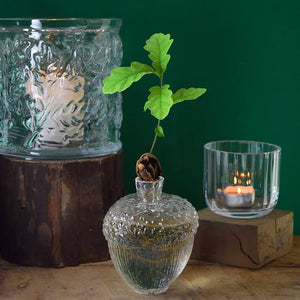 The Royal Oak - Vase / Hurrikan - Klar