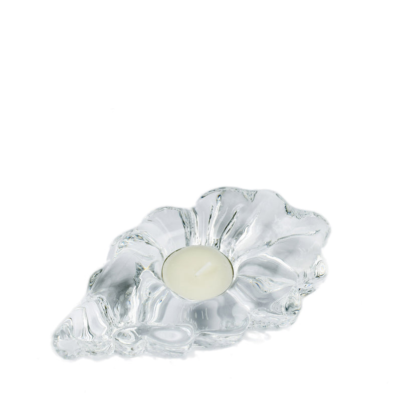 Ekbladet Votive Clear
