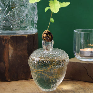 Robur Vase Clear