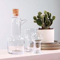 Picnic Glass 2-pack 48CL