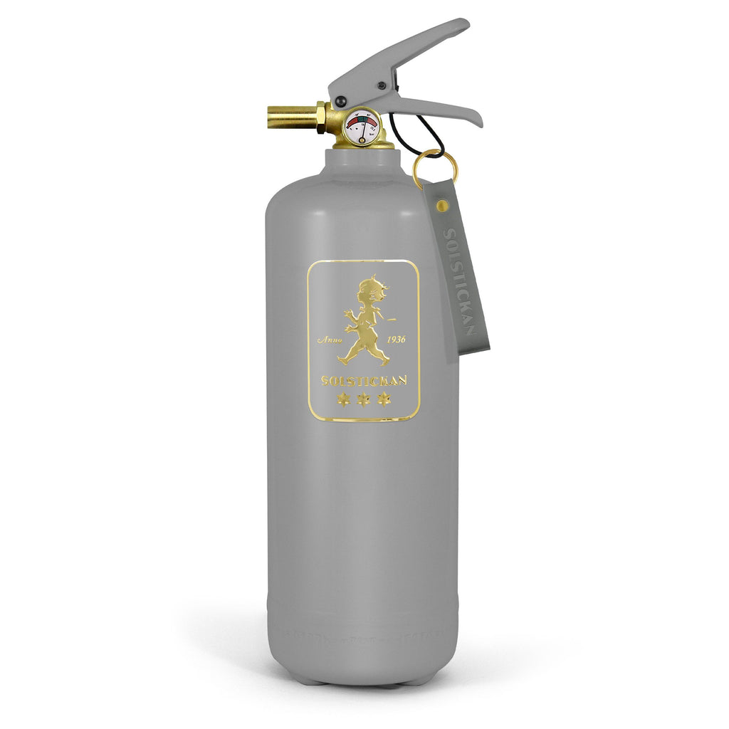 Fire extinguisher 2kg Grey / Gold