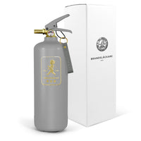 Fire extinguisher 2kg Grey / Gold