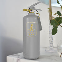 Fire extinguisher 2kg Grey / Gold