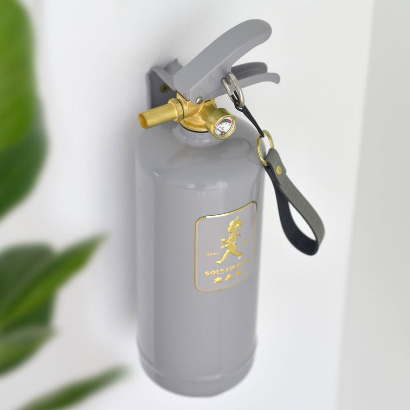 Fire extinguisher 2kg Grey / Gold