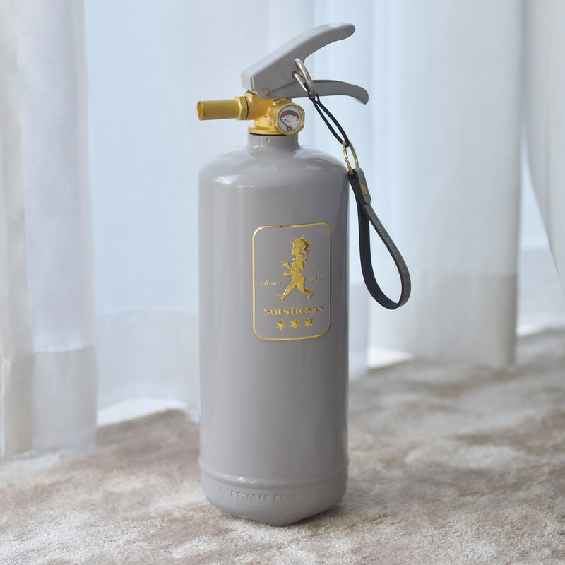 Fire extinguisher 2kg Grey / Gold